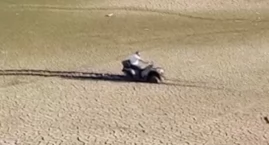 Quad ugrzązł w mule na dnie Jeziora Pilchowickiego