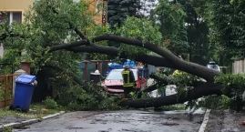 Nawałnica spowodowała ogromne straty. Zobaczcie zdjęcia