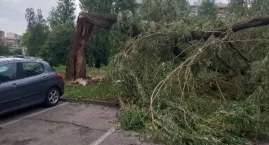 Porządkowanie miasta po nawałnicy. Pracownicy MPGK d&hellip;