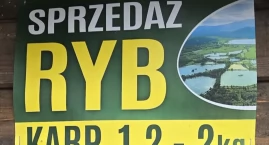 Karp pozostaje na Stawach Podgórzyńskich. KPN rozwie&hellip;