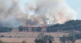 Ogień strawił ponad 20 hektarów upraw. Groźny pożar &hellip;
