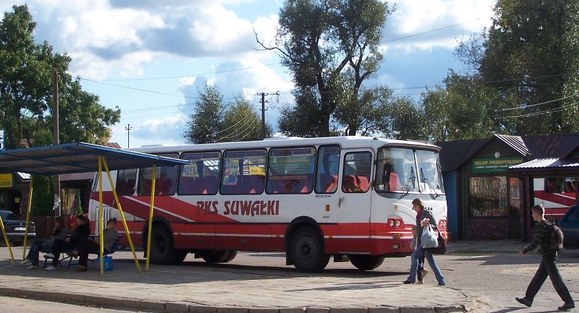 Kursy do Zelwy po wakacjach