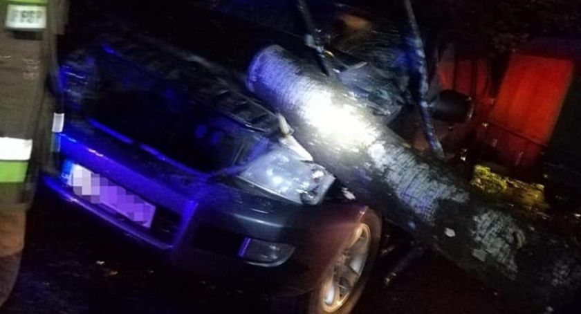 Na drodze krajowej drzewo upadło na auto 