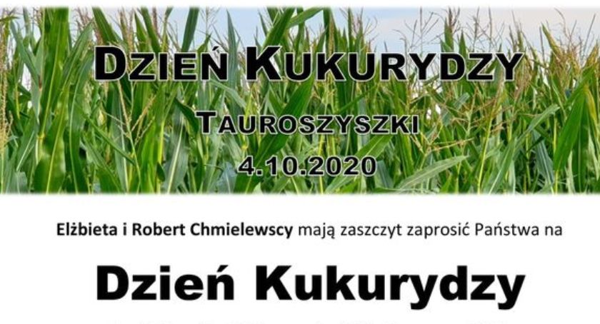 Dzień Kukurydzy 2020