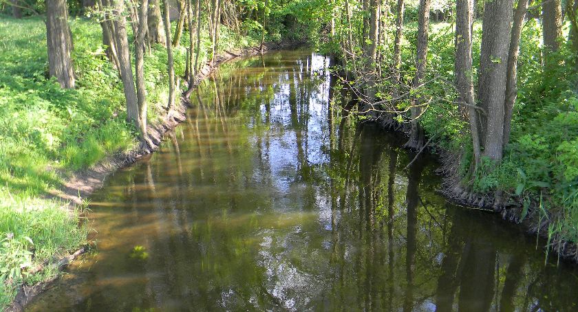 Zabudowa nad linią brzegową?