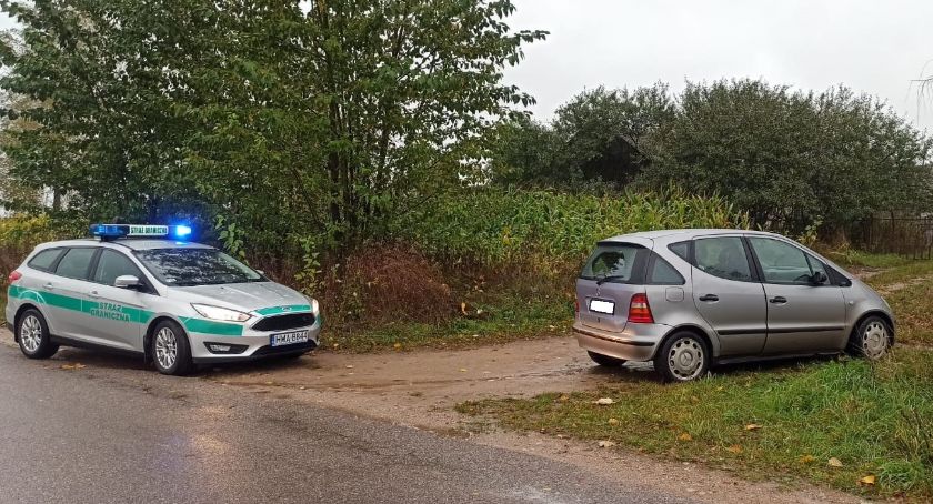 Zebry w podłodze