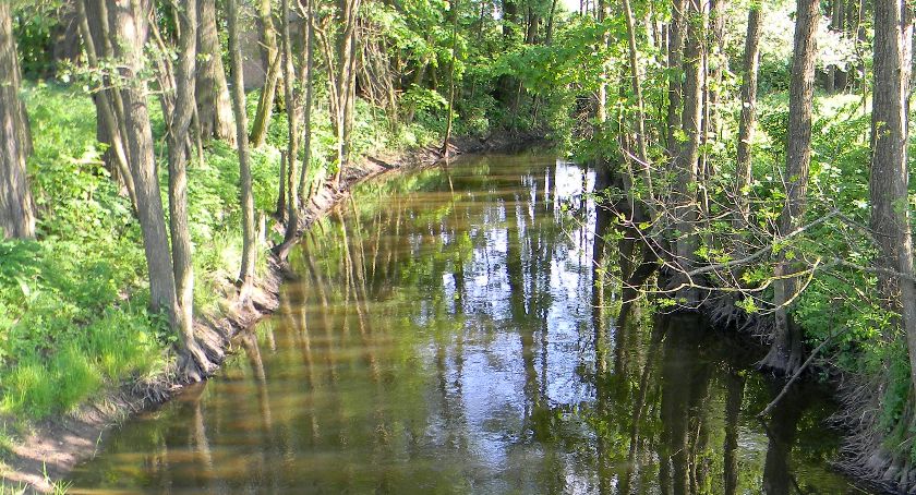 Budowa mniej niż 100 metrów od brzegu