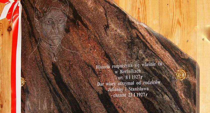 Bohater z Berżnik w komiksie
