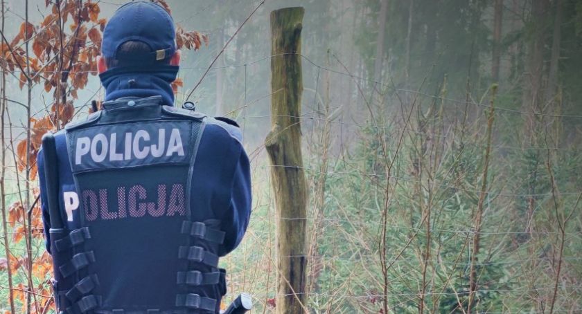 Choinki tylko na legalu