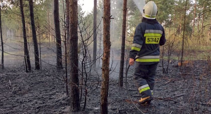 Palił się las i skład drewna