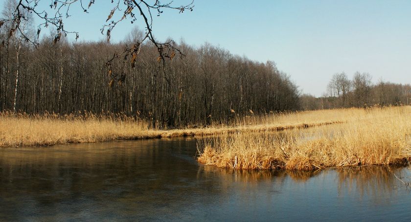 Sprzątanie Czarnej Hańczy