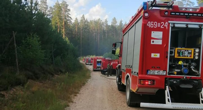 OSP miały ręce pełne roboty
