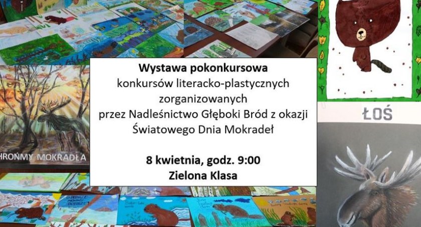 Łoś i bóbr na wystawie