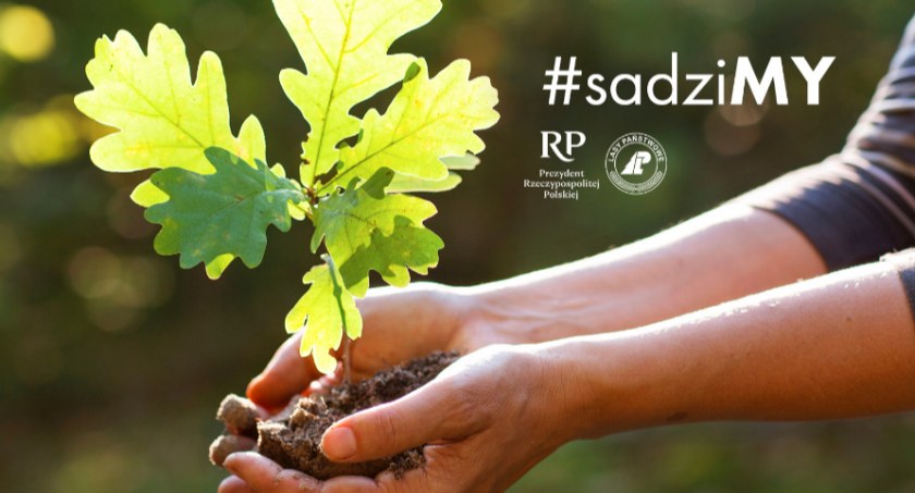 Ogólnopolskie sadzenie drzew