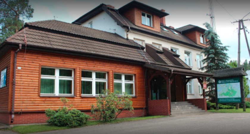 Po zdrowie do lasu