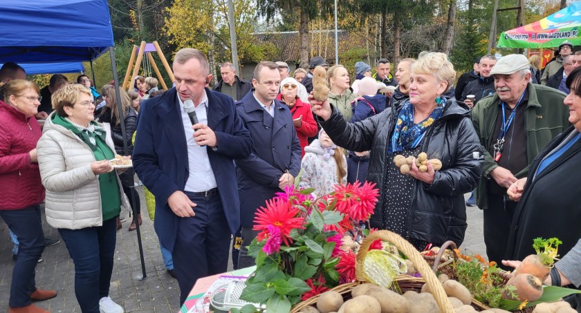 Król Ziemniak 
