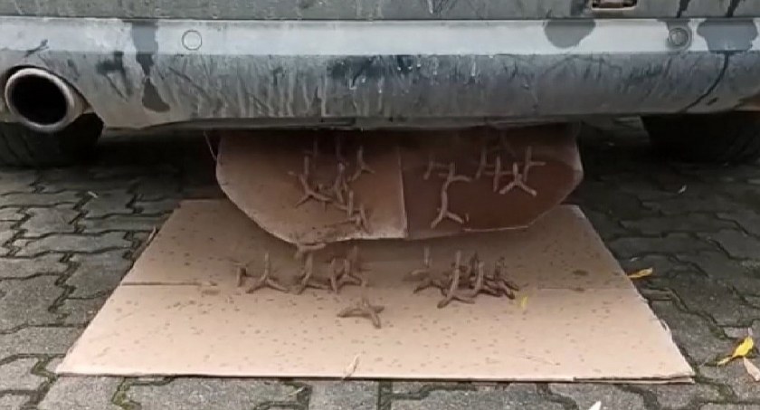 W razie pościgu Audi miało sypać kolcami