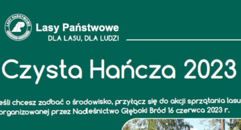 Czysta Hańcza, czysta woda i las