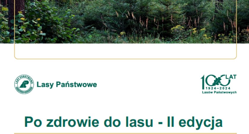 Po zdrowie do lasu