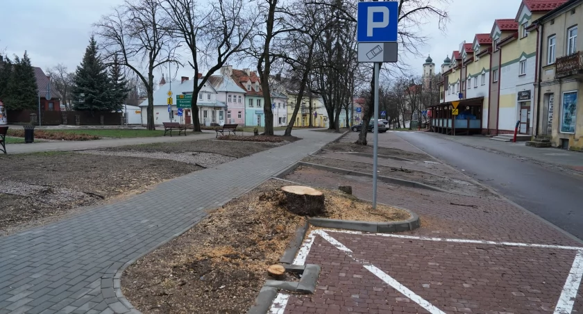 Bezpieczeństwo kosztem drzew w parku?
