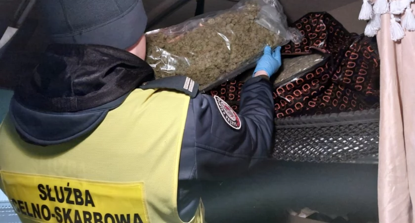 Warta 900 tys. zł marihuana w kabinie ciężarówki