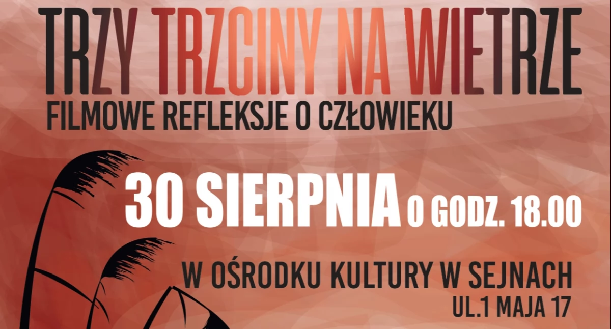 Projekcja filmów krótkometrażowych