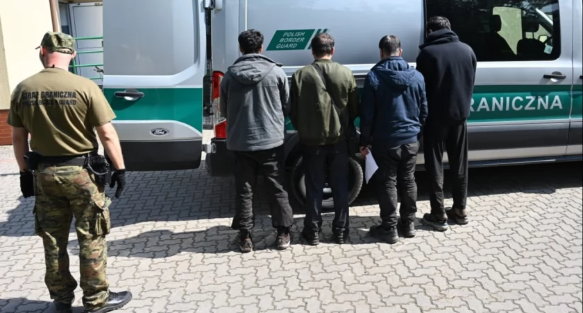 Czterej migranci przeszli przez zieloną granicę