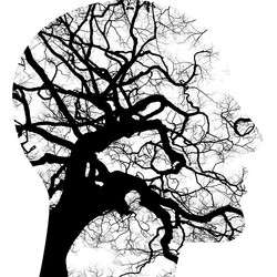 Badania psychologiczne w Sejnach