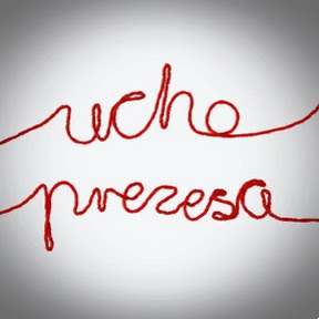 Ucho Prezesa z Sejnami w tle