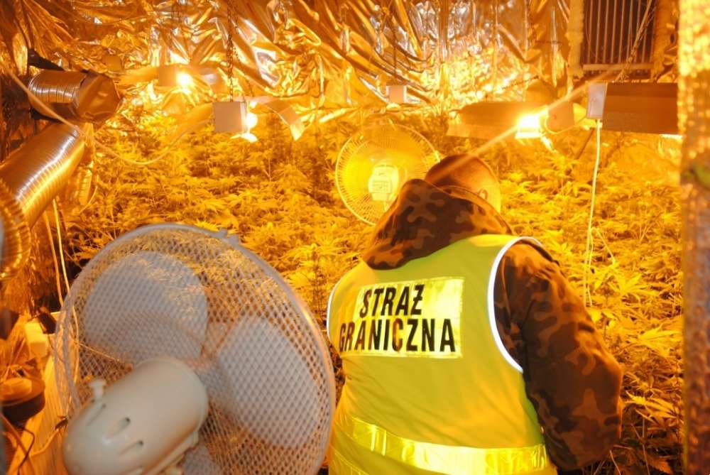 Nabór do Straży Granicznej