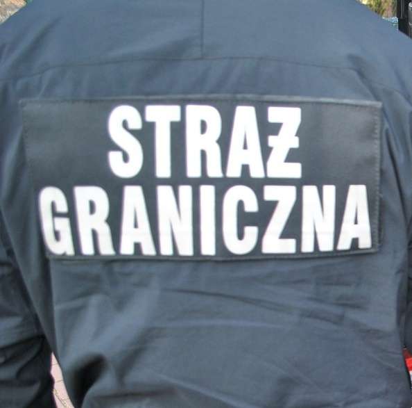 Wykroczenia cudzoziemców