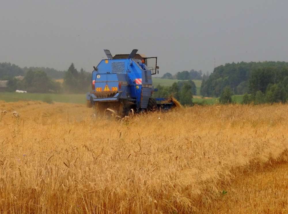 Krzywdząca susza