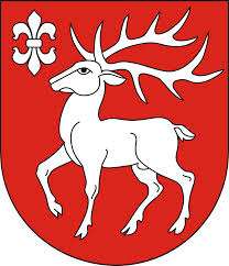 Debata przedwyborcza