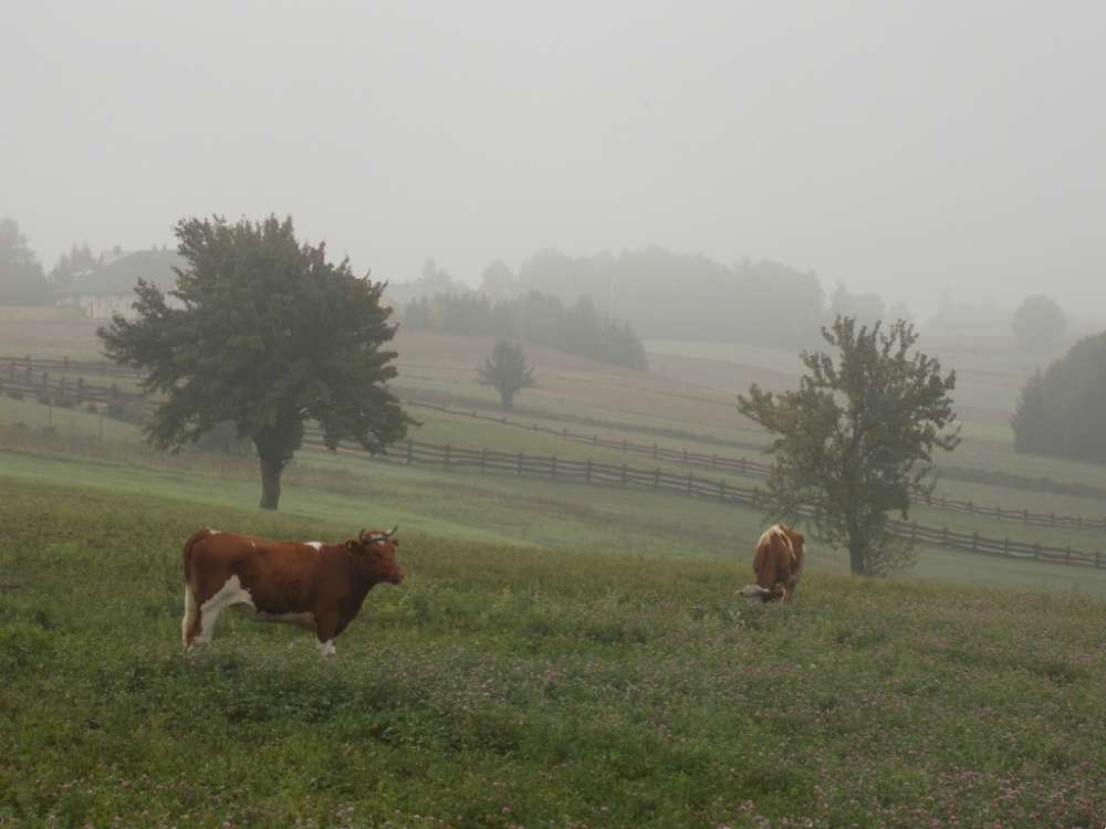 Meteorolodzy ostrzegają