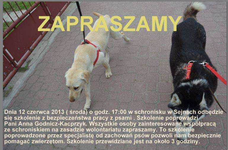 Bezpiecznie przy psach