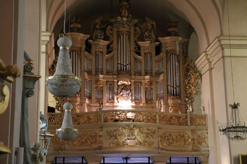 Juniores Priores Organorium Seinensis