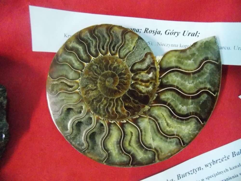 Mikołajki Geologiczne (ZDJĘCIA)