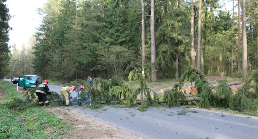 Silny wiatr przyczyną zagrożeń
