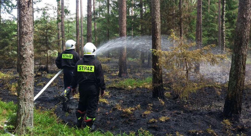 Pożar w głębi lasu (foto)
