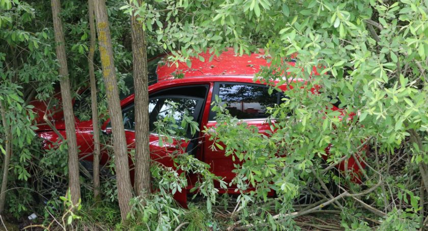 Rozpędzonym autem zjechali z drogi krajowej (foto)
