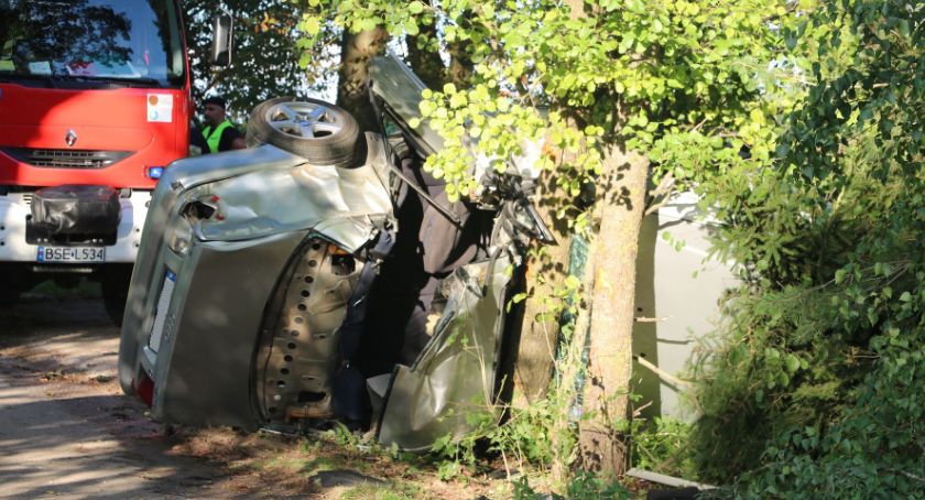Audi A6 zagięło się na drzewie
