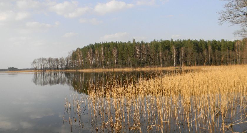 Pływający pomost w Zelwie