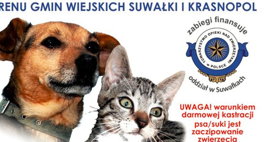 Nie rozmnażaj bezdomności