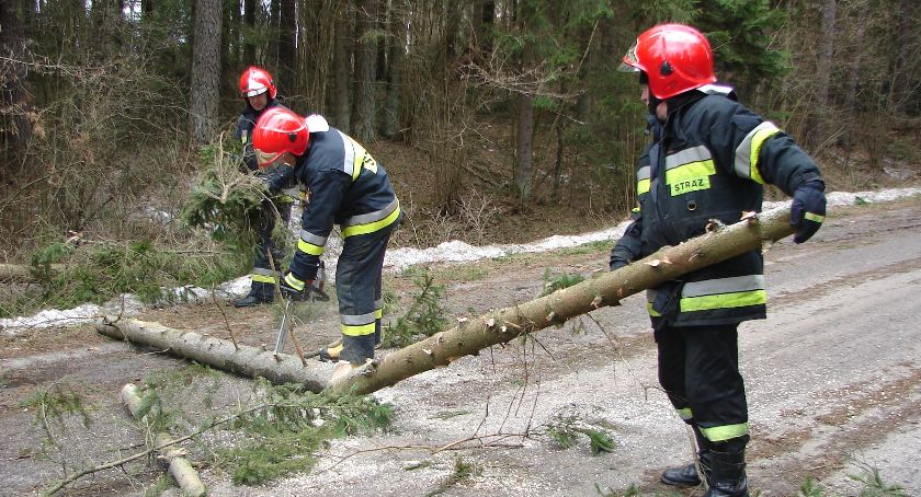 Działanie porywistego wiatru