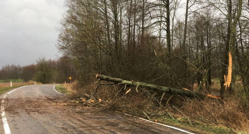 Powiało zgodnie z zapowiedziami