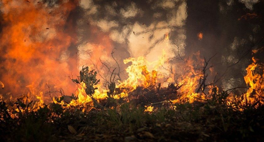 Wojewoda uspokaja - brak zagrożenia radiacyjnego