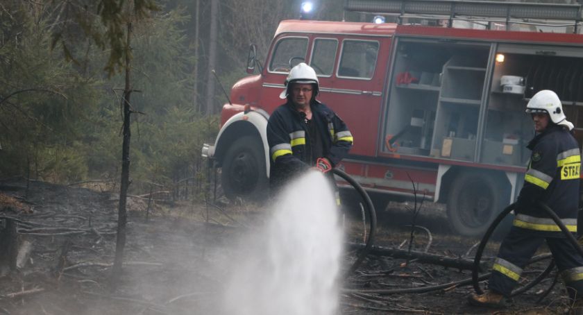 Pożar lasu w sąsiedztwie Strzelcowizny