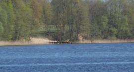 Porozmawiają o statku na Hołnach
