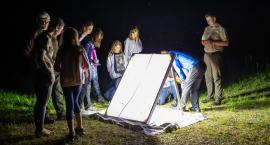 Ciemna noc w Puszczy Augustowskiej