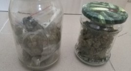 W przeszukaniu pomógł policyjny pies